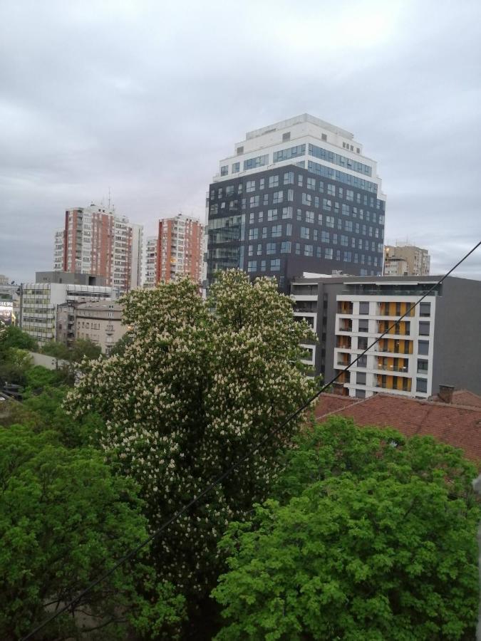 Ferienwohnung Caviar Belgrad Exterior foto